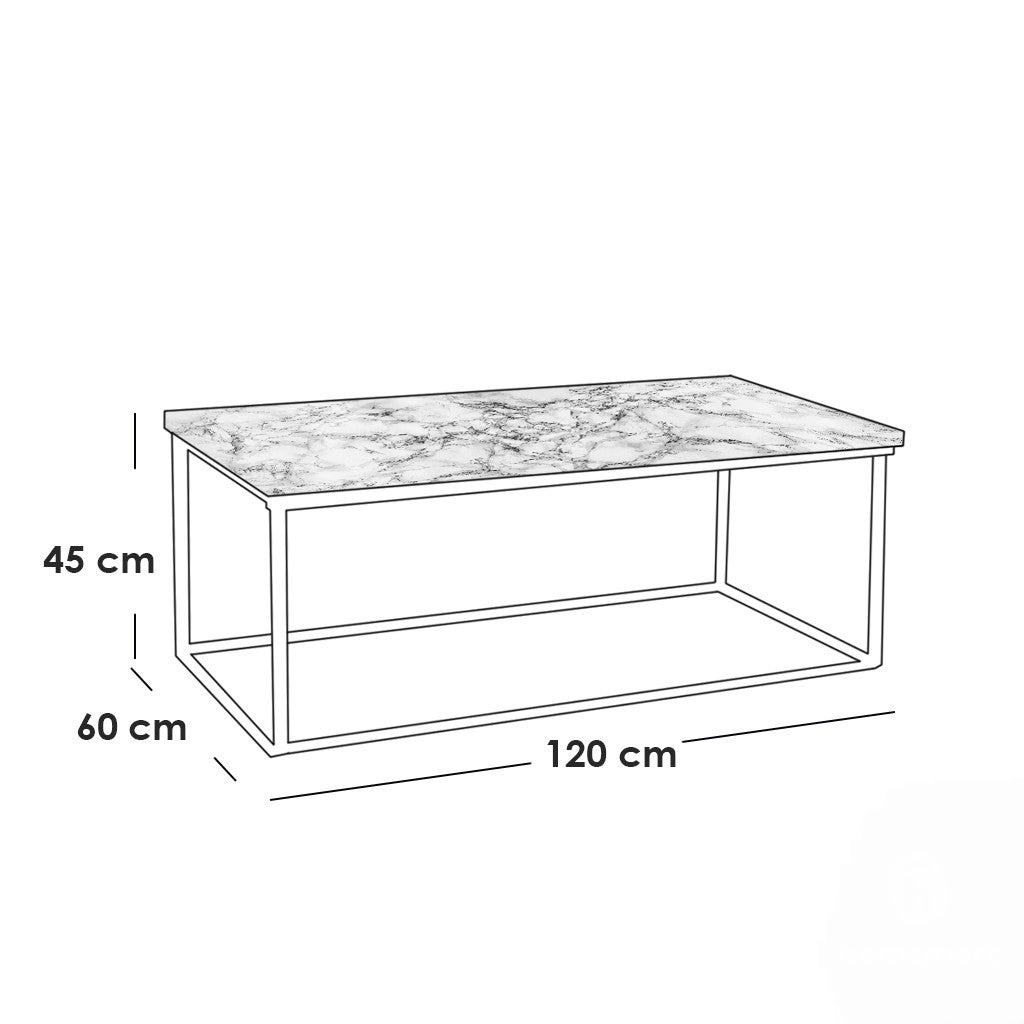 Center table -CT-0046